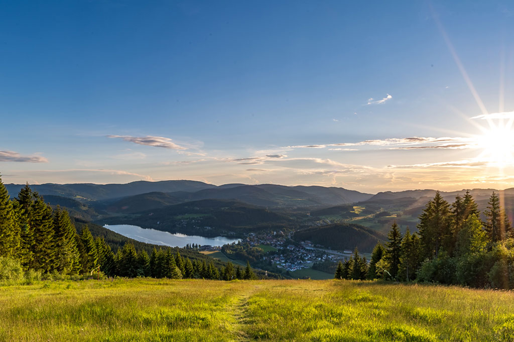 Regional verwurzelt und gut vernetzt – Ihr Elektronikdienstleister aus dem Schwarzwald